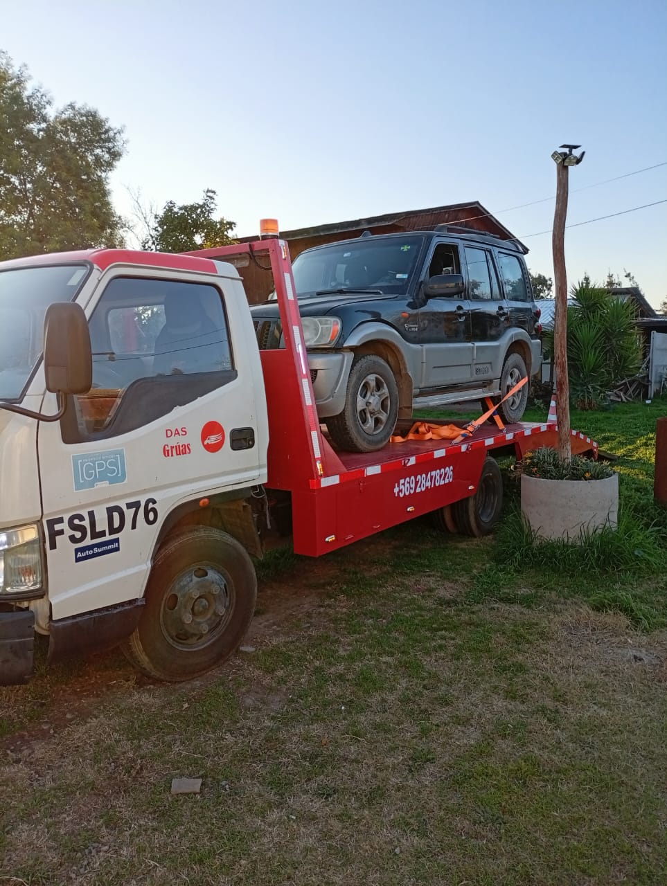 Grúa profesional DAS